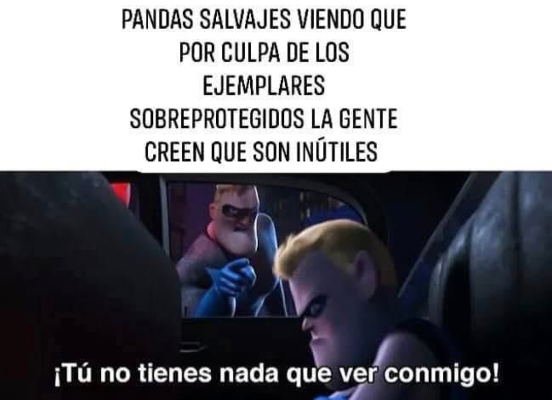 Pandas salvajes viendo cómo sus primos domesticados arruinan la reputación familiar - meme
