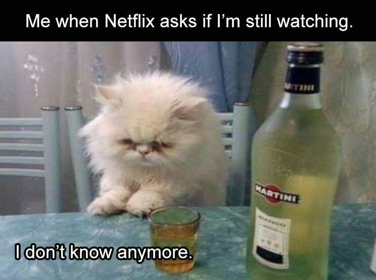 When you're so done with having conversations you don't even want to talk to Netflix. - meme