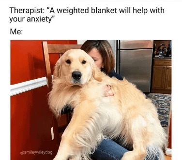 Heavy blanket - meme