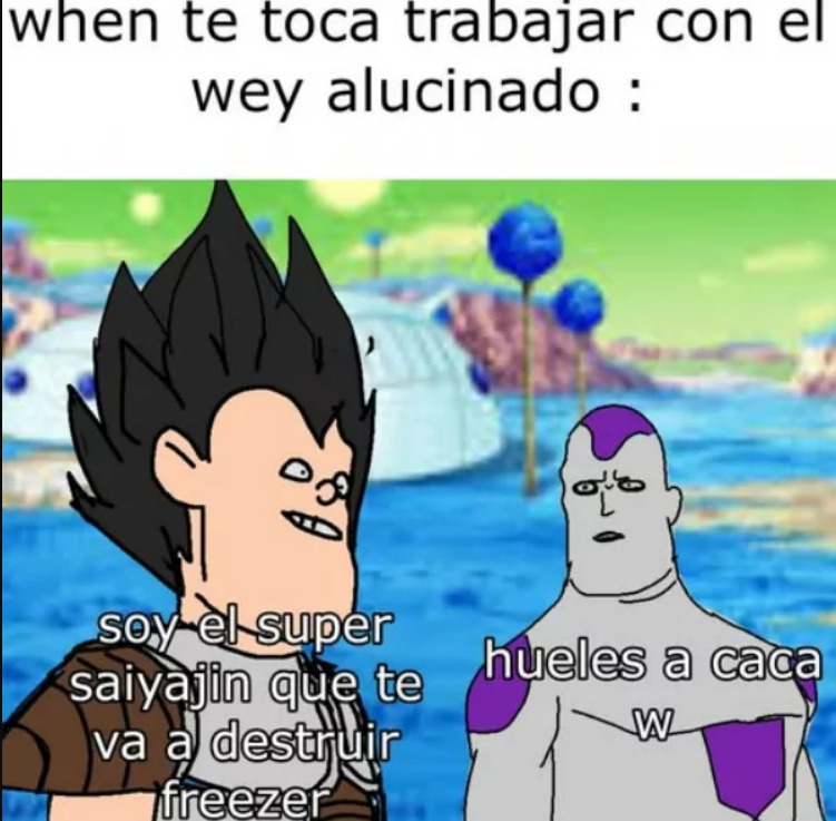 es que también vegeta ni dormia jaja - meme