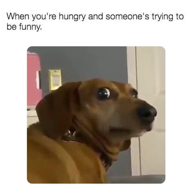 Me hangry while you try to be quirky - meme