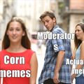 Corn corn corn corn