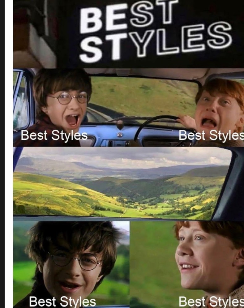 The best Harry Potter memes :) Memedroid