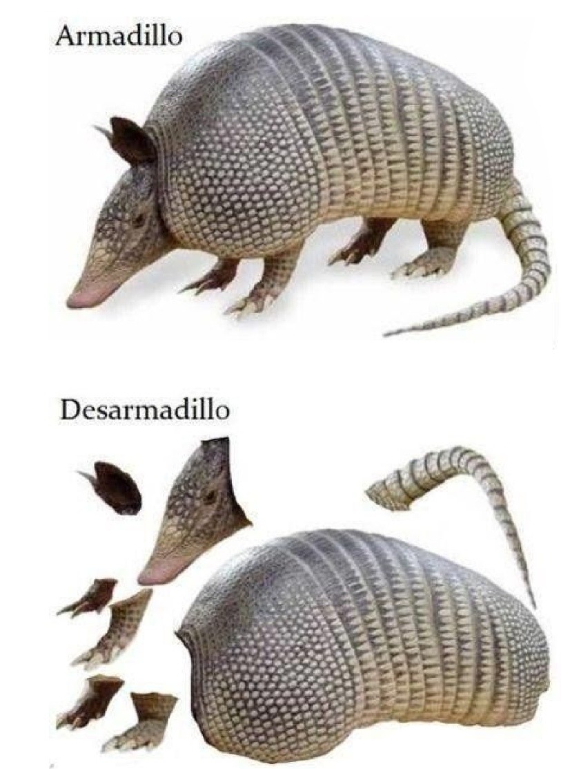 Armadillo-desarmadillo - meme