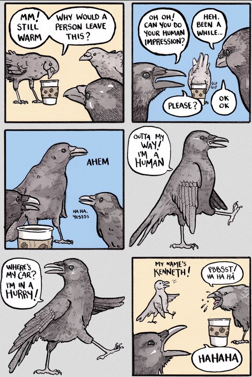Crows - meme