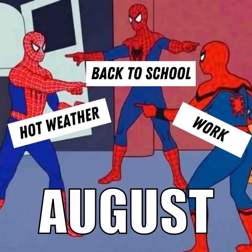 August in a nutshell - meme