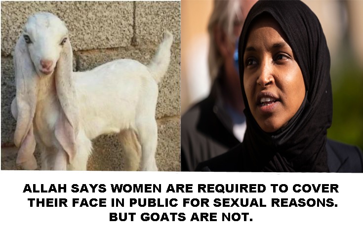 This would explain several things about Islamic behaviors, tbh. - meme