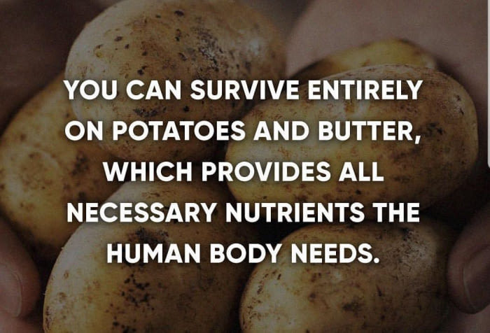 Now you know why I sit in my room and eat potatoes. - meme