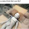 Crab thoughts