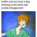 Like right scooby