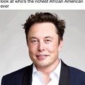 Elon crust