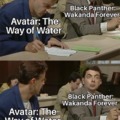 Avatar 2 and Black Panther 2