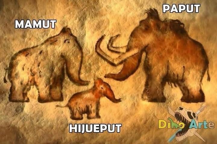 Hijaput - meme
