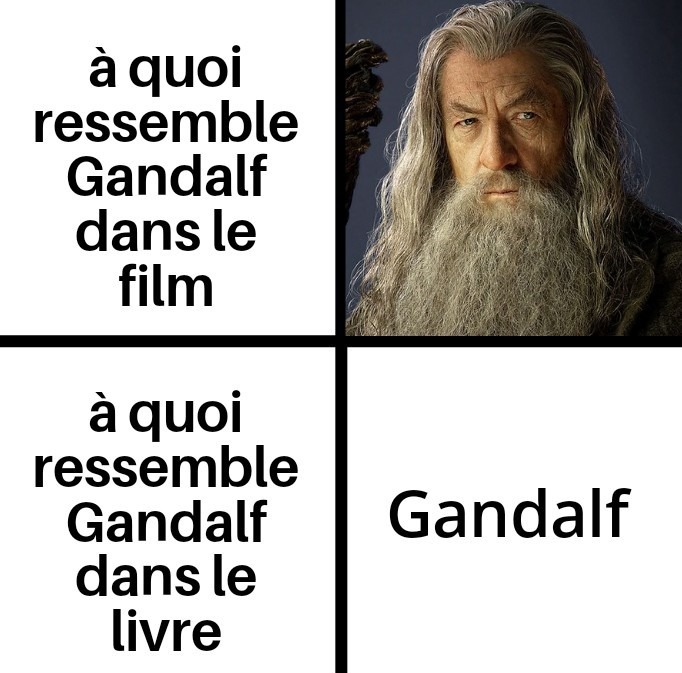 Je suis un être humain de race humaine - meme