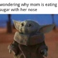 Mon eating sugar with her nose