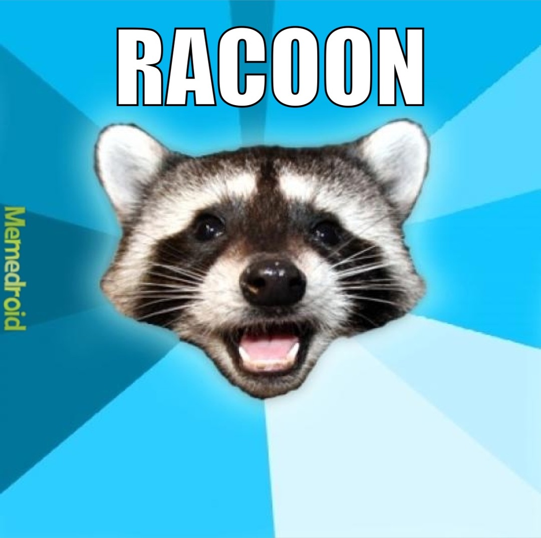 RACOON - meme