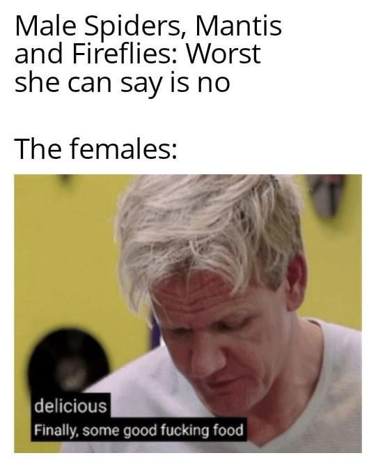 Female spiders, mantis and fireflies - meme