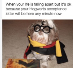 Any minute - meme