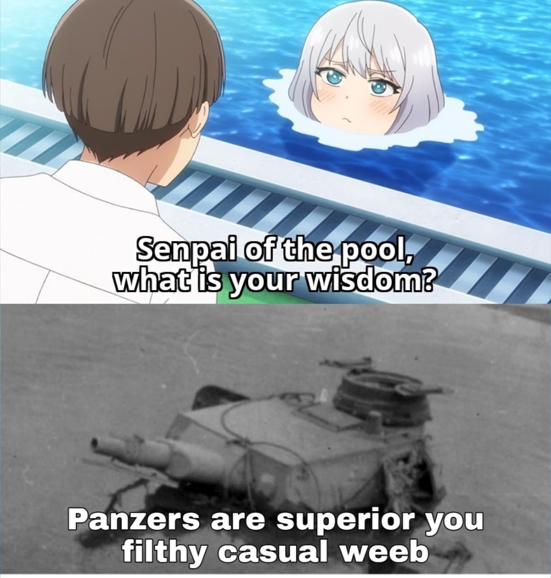 PANZERS ON A LINE, FORM THE WEHRMACHT’S SPINE - meme