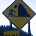 Falling rocks are bad enough, but falling cows?!?