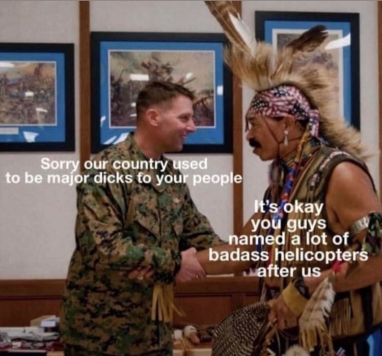 Native Americans, the best argument against gun control - meme