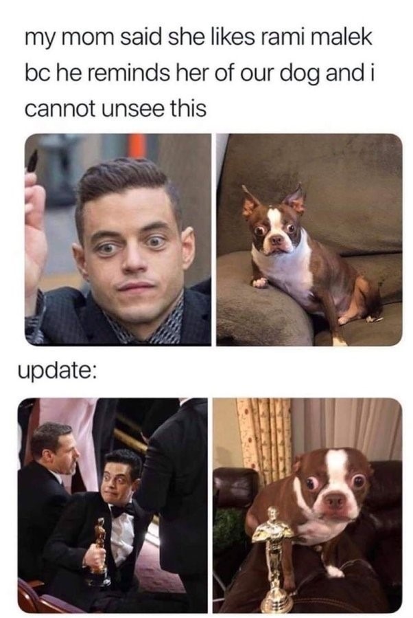 rami and the doggy ;) - meme