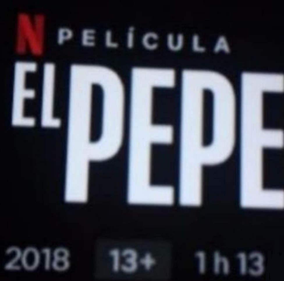 EL PEPE ESTA DISPONIBLE EN NETFLIX - meme