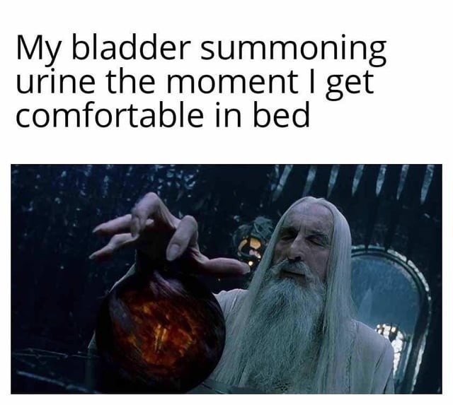 My bladder the second I get comfy in bed: it’s go time - meme