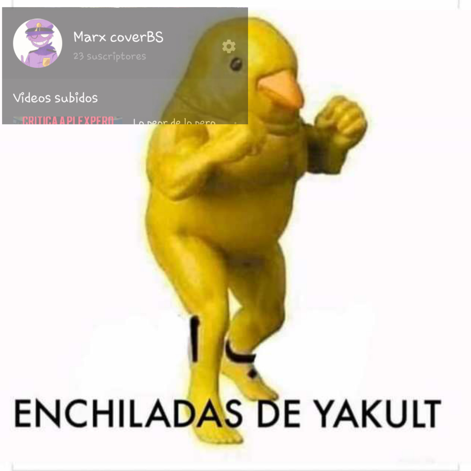 Enchiladas de yakullt - meme