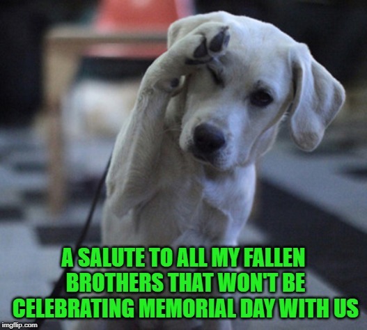 Salut to all the fallen soldiers on memorial day image