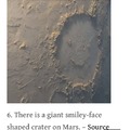 Look its a face! Fun facts with joe