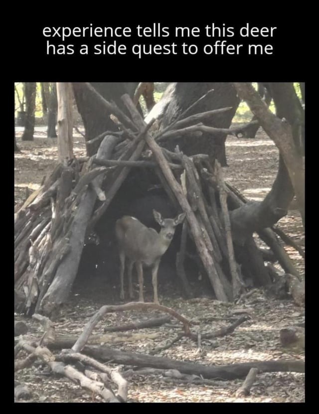 Deer has a side quest - meme