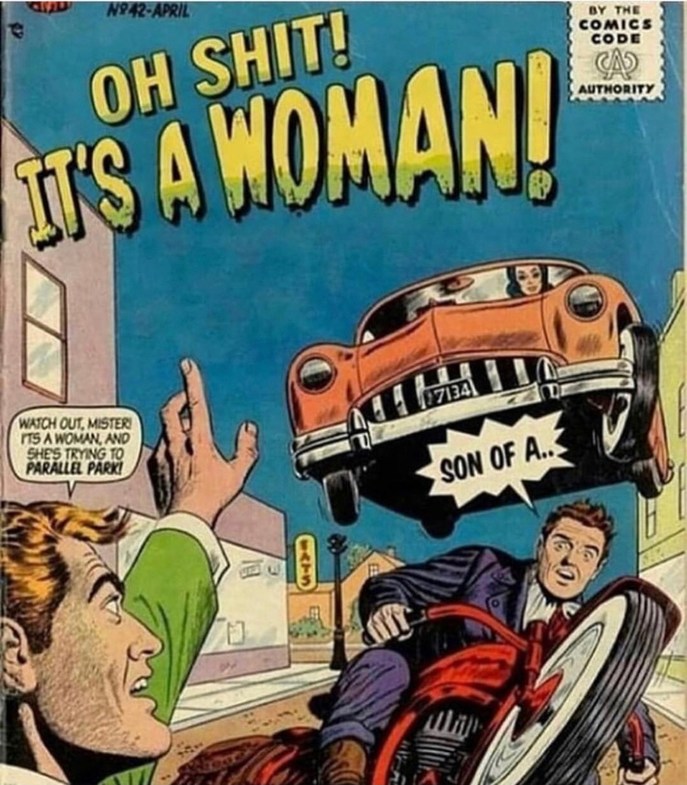 Dongs in woman driving - meme