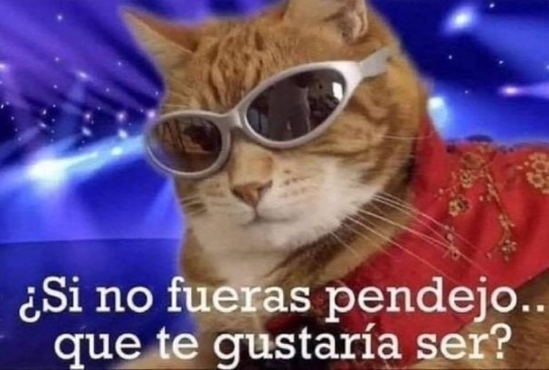 Qué te gustaría ser mi pana? - meme