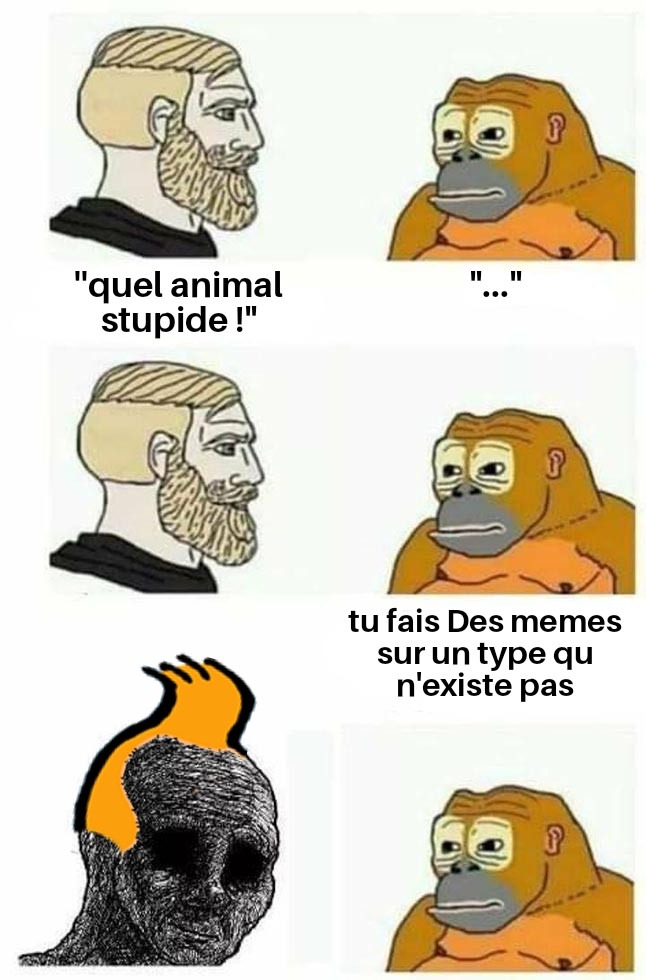 Desolé je l'ai fait vite ;-) - meme