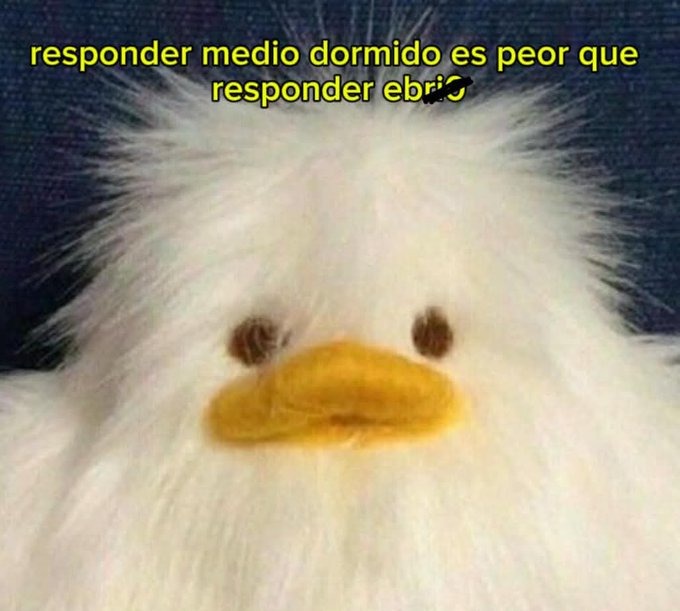 no respondan recien levantados - meme