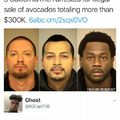 Fucking avocado