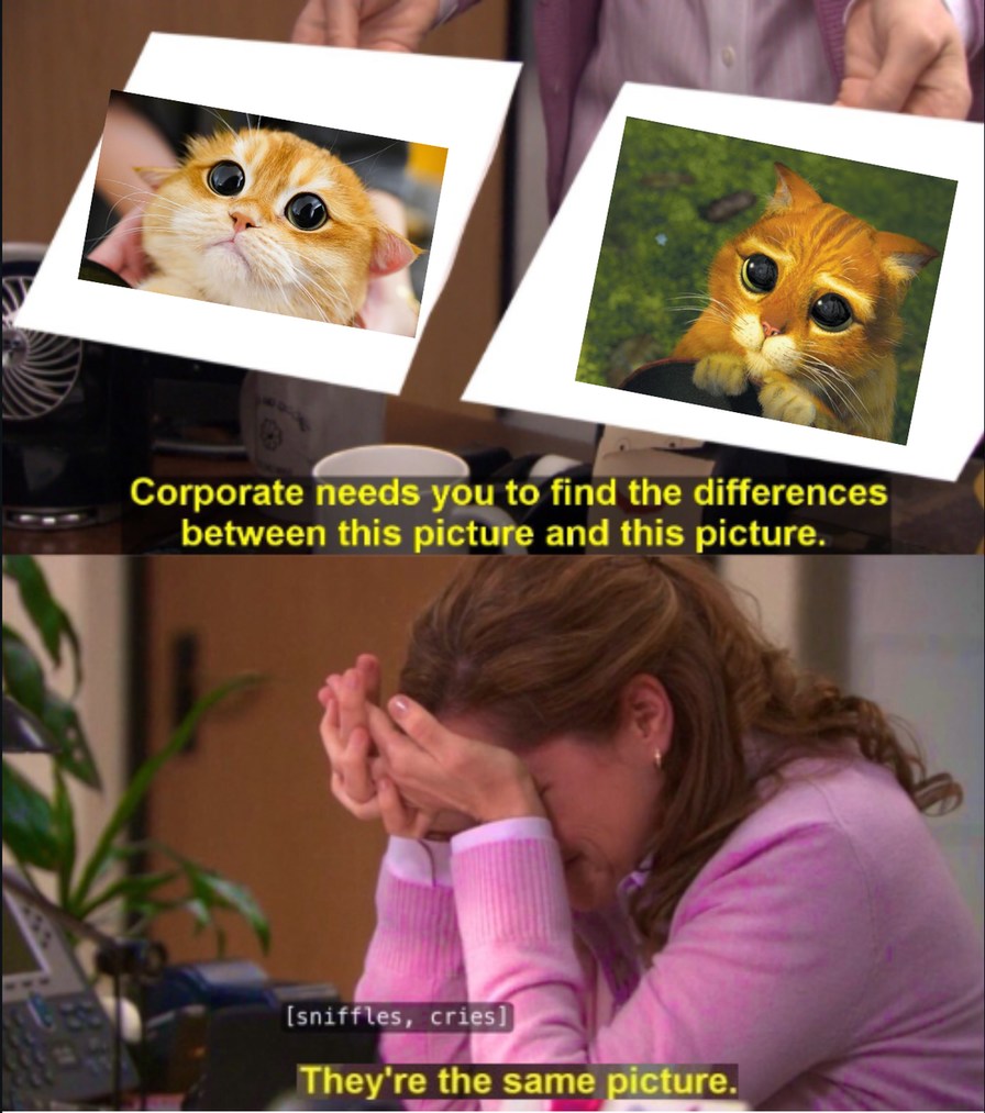 They look the same!! - meme