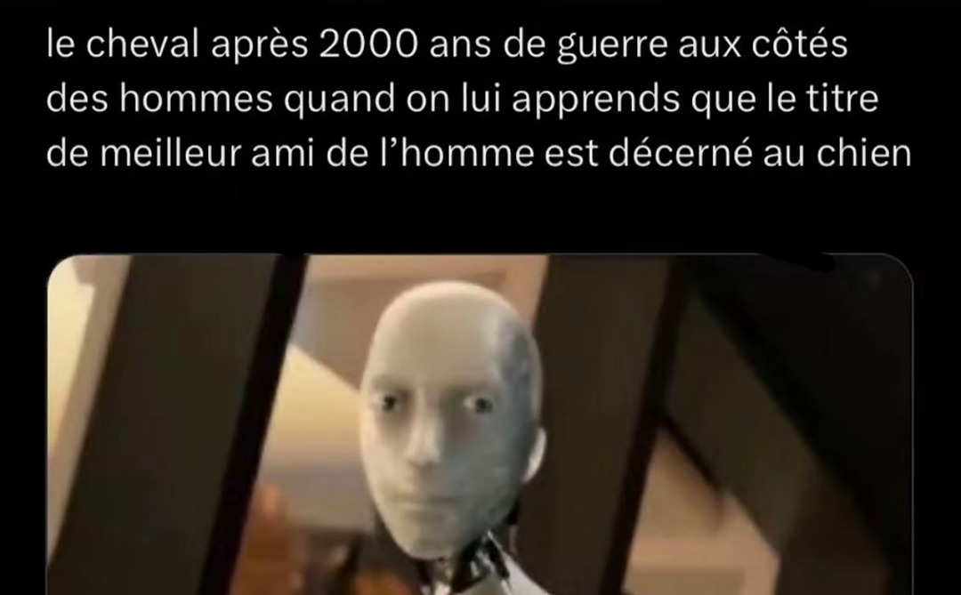 Le cheval qui découvre qu'il a taffé 2000 ans pour quedal - meme