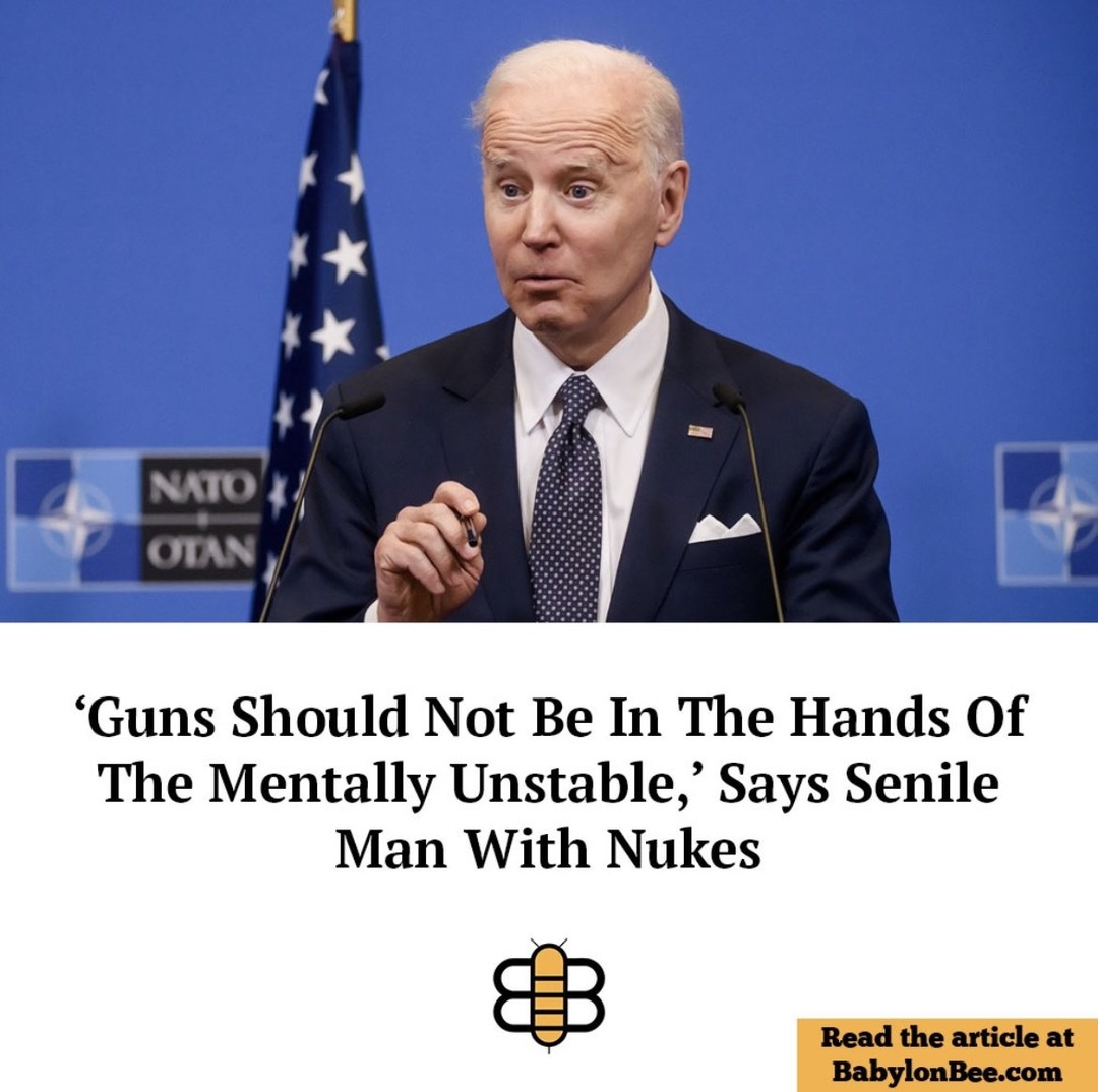 The Babylon Bee is a national treasure - meme