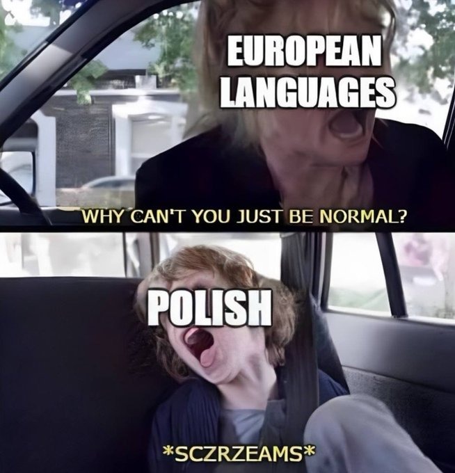 why can you be nzorcmalsczki - meme