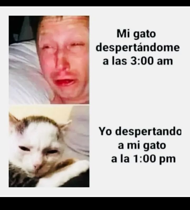 Nose wooooon - meme