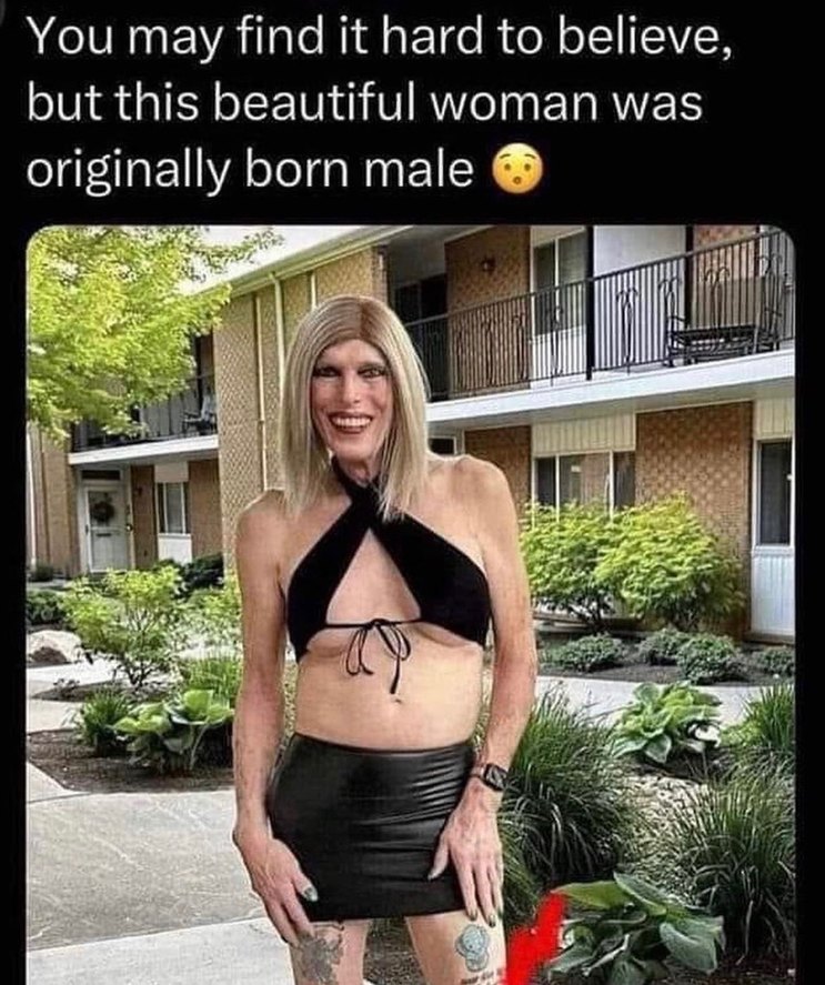 lmao - meme