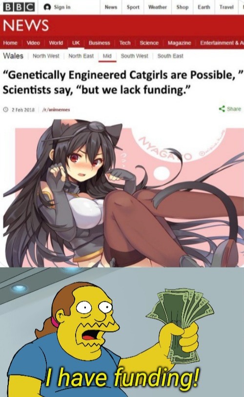 Fake Cat Girls Tweet, Genetically Engineered Catgirls