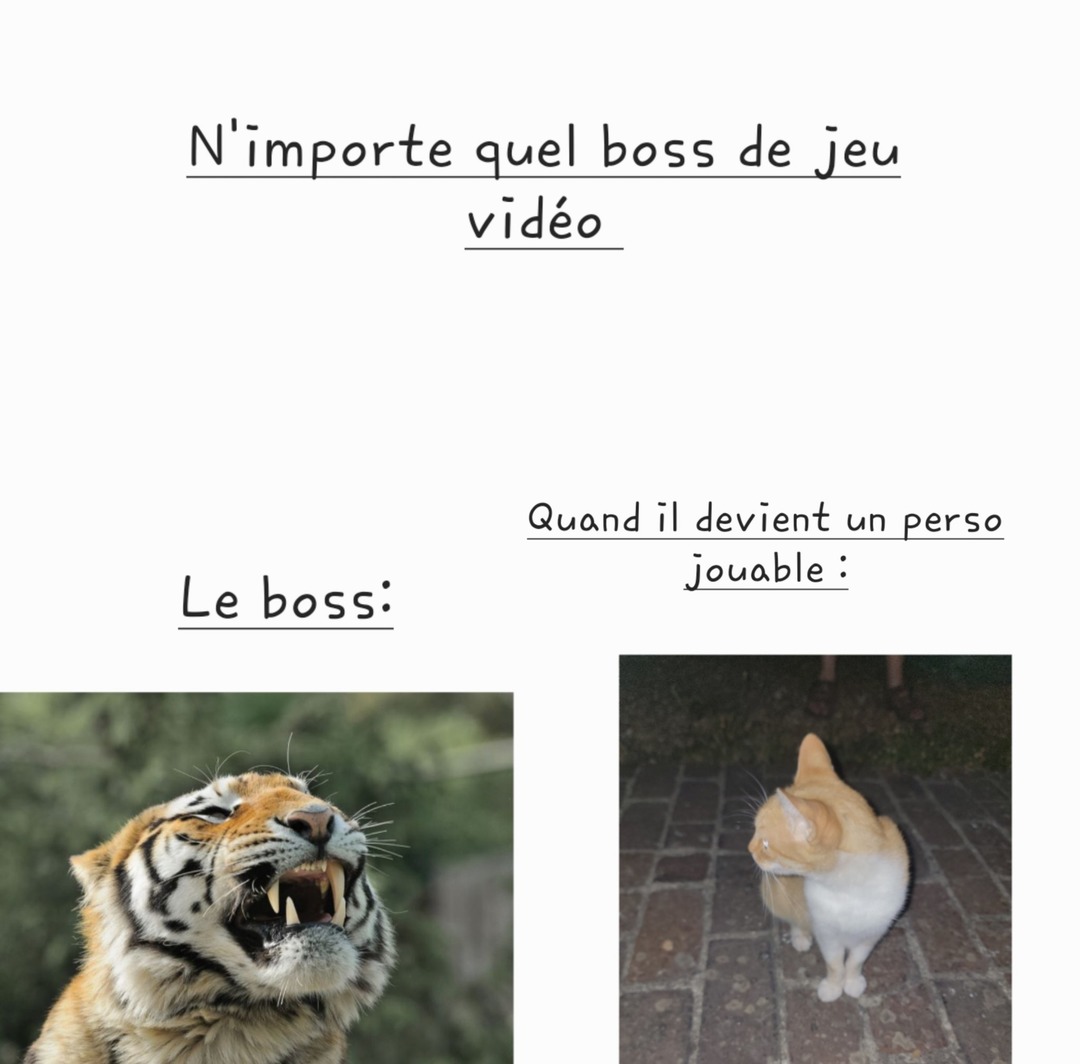 Classique, mais efficace - meme