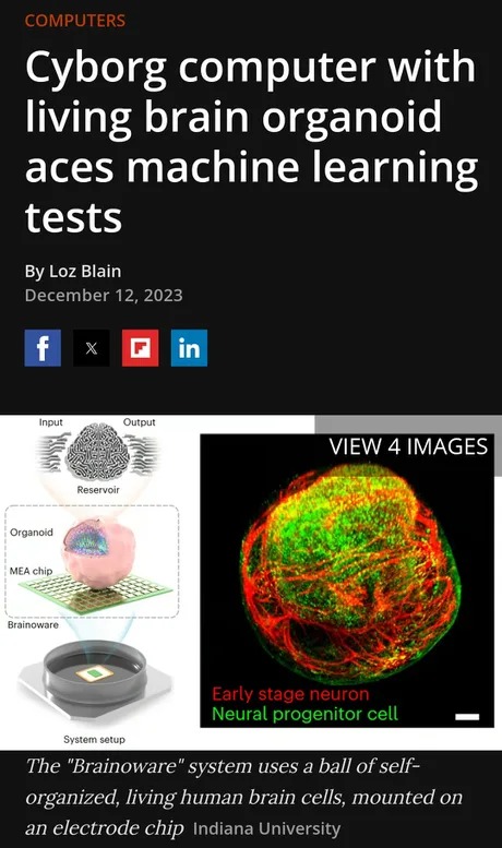 Cyborg computer with living brain organoid aces machine learning tests - meme
