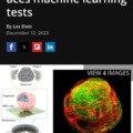 Cyborg computer with living brain organoid aces machine learning tests