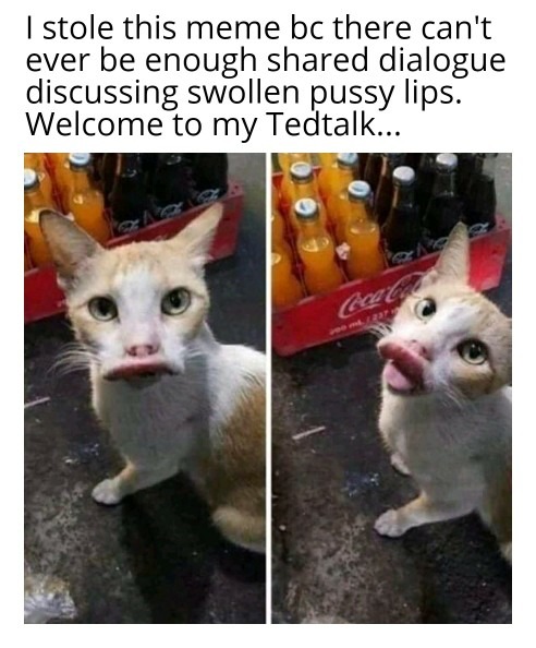 Can't get enough of these pussy lips - meme