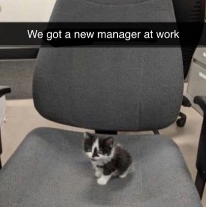 best manager - meme