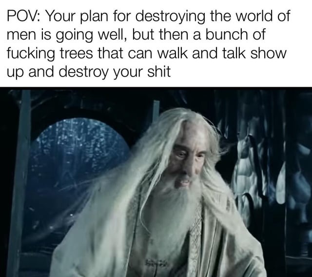 Saruman's sad story - meme